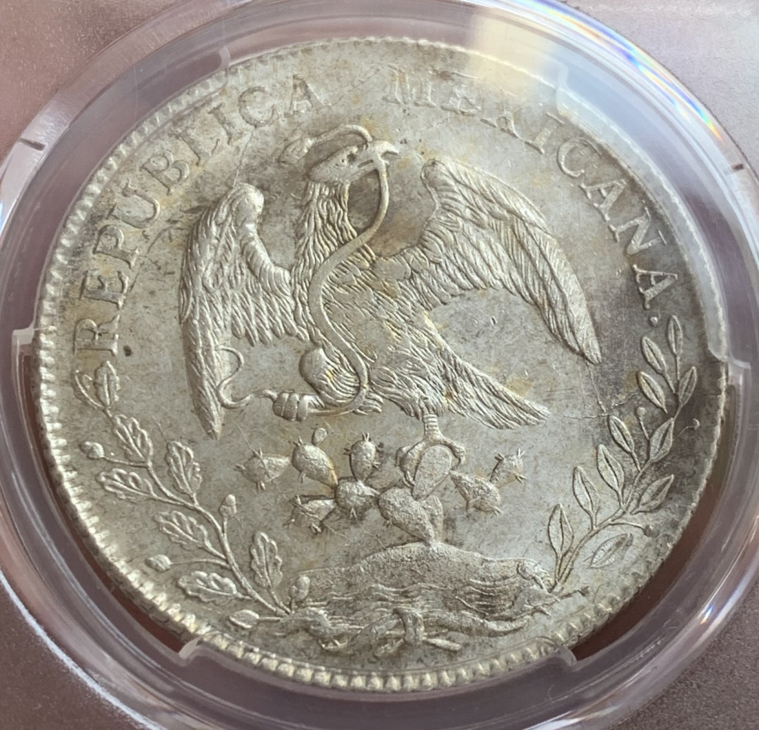 瓶子🏺第88期拍卖会 墨西哥1894年8R鹰洋大银币