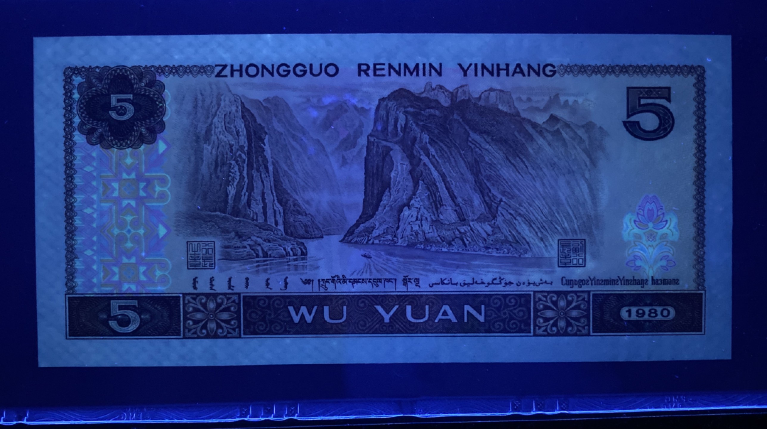 大黄蜂拍卖第76期 805苍松翠鹤补号JZ62366123，67分