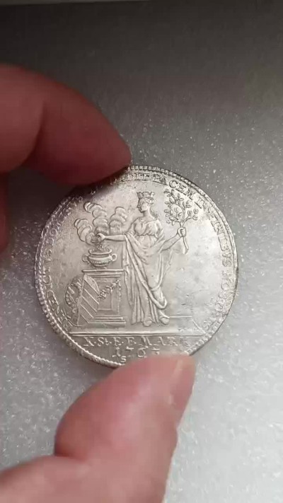 瓶子🏺第88期拍卖会 神圣罗马帝国时期纽伦堡1763年拿花1泰勒大银币  40毫米27.96克