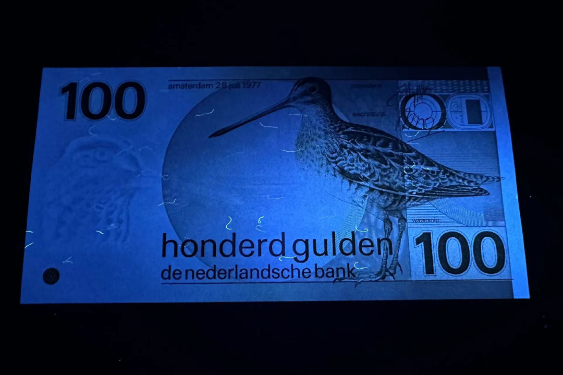 【Blue Auction】✨世界纸币精拍第316期——周日畅拍场 【555豹子号无47】荷兰 1977年100盾 水鸟 全新UNC