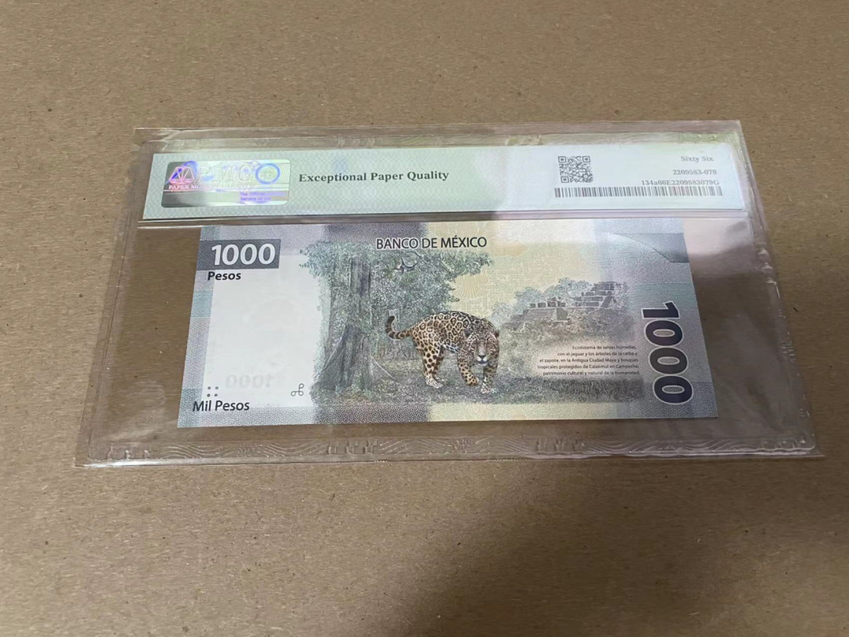 【Blue Auction】✨世界纸币精拍第316期——周日畅拍场 【AA】墨西哥 2019年1000比索 PMG66EPQ 