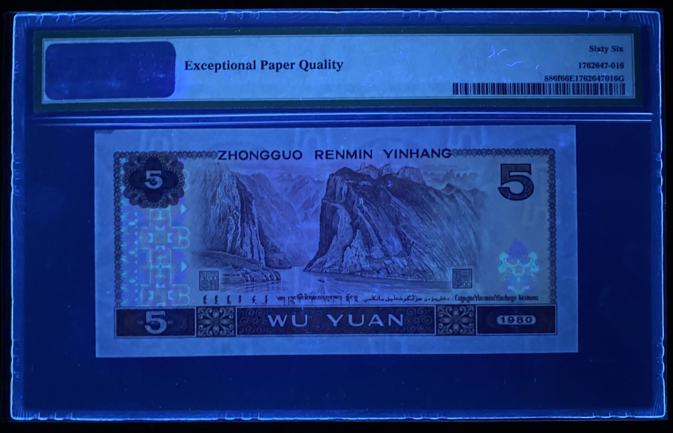 大黄蜂拍卖第77期 805苍松翠鹤ES29692616，66分