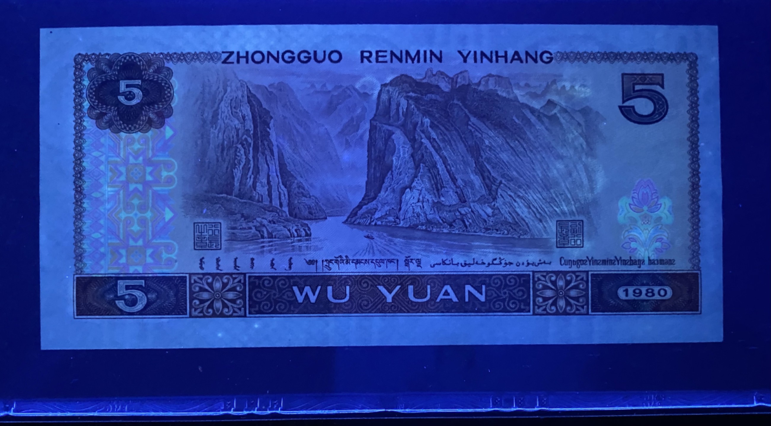 大黄蜂拍卖第77期 805苍松翠鹤豹子号FP59382999，66分