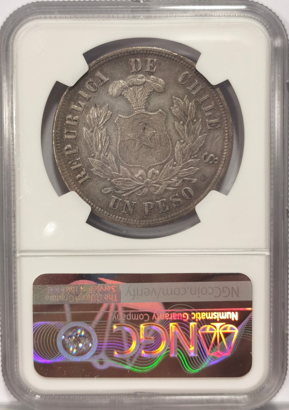 博洋堂世界钱币拍卖第024期（全场包邮）