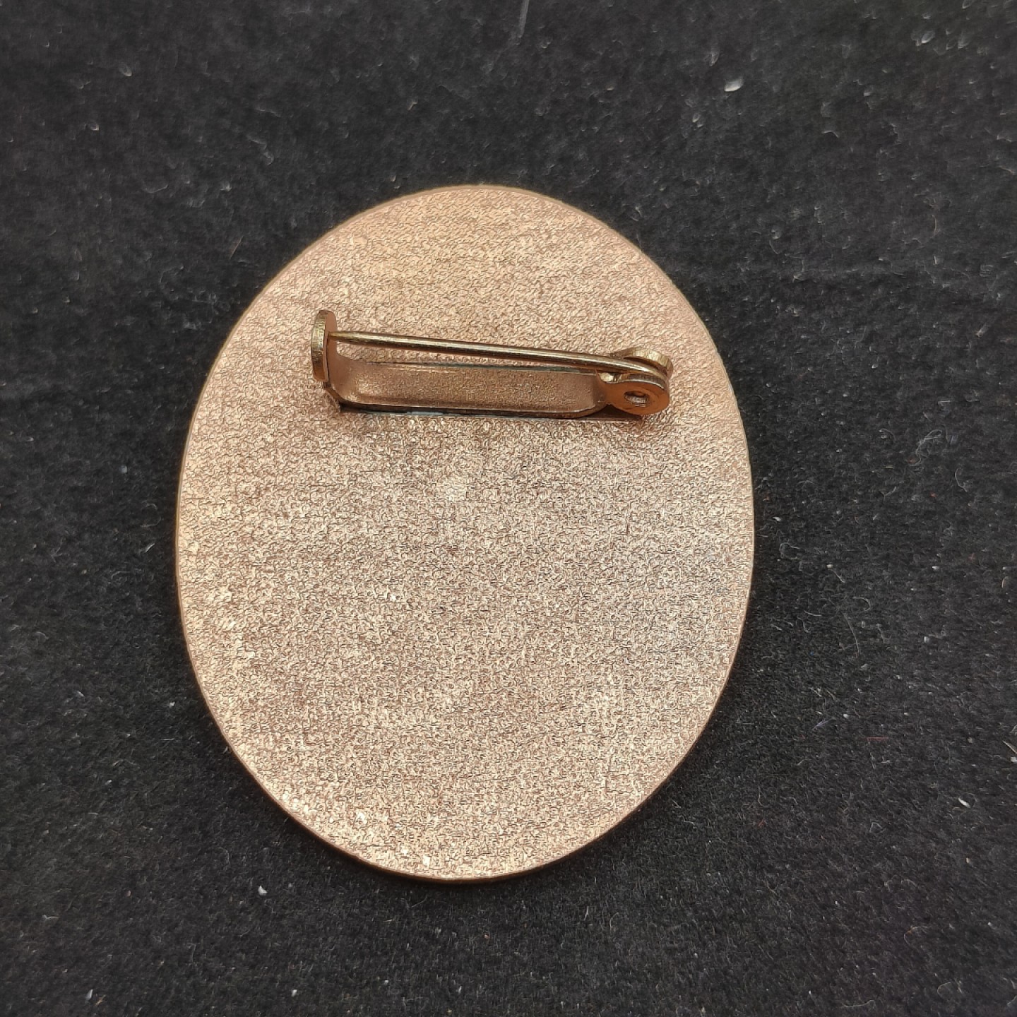 全场0元起拍 第50期 咸鱼国勋章拍卖专场 4月26日（周三）下午6：00开始 东德 NVA  优秀人民军证章