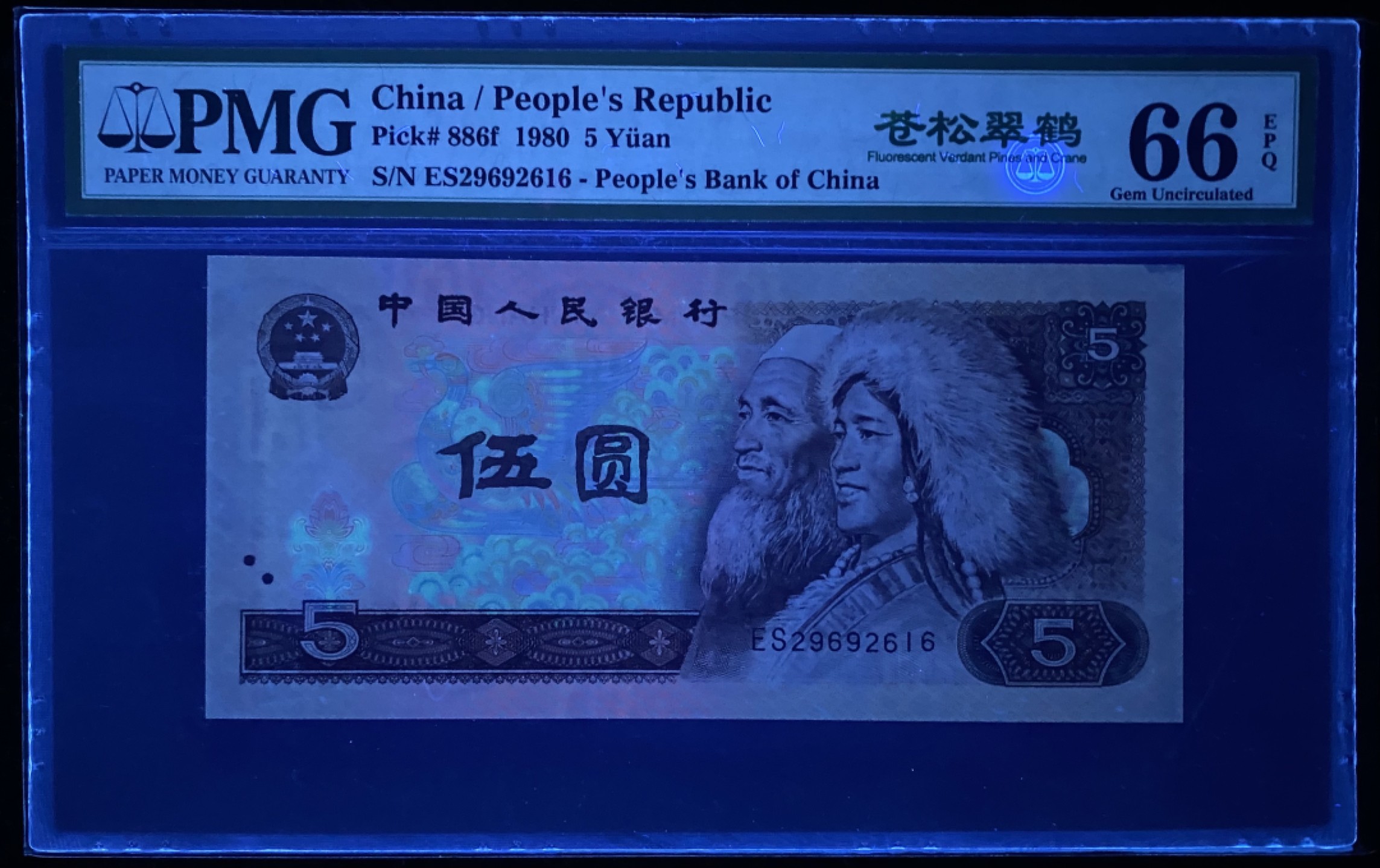 大黄蜂拍卖第77期 805苍松翠鹤ES29692616，66分