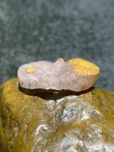 精美亚光战国红玛瑙手工雕刻树叶吊坠一个 精美亚光战国红玛瑙手工雕刻树叶吊坠一个