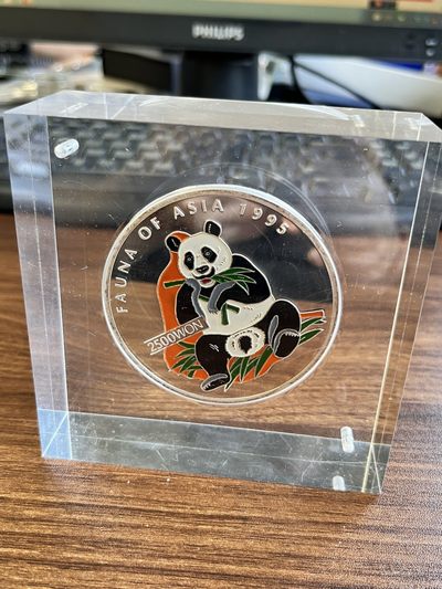 【海寧潮】朝鲜1995年动物大熊猫5盎司彩色精制纪念银币，999银，直径60毫米，发行2500枚