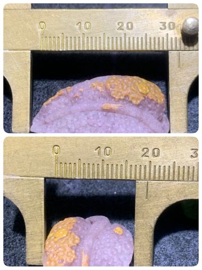 精美亚光战国红玛瑙手工雕刻树叶吊坠一个 精美亚光战国红玛瑙手工雕刻树叶吊坠一个