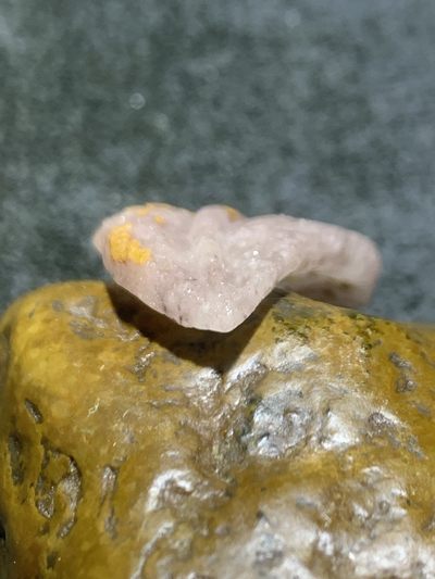 精美亚光战国红玛瑙手工雕刻树叶吊坠一个 精美亚光战国红玛瑙手工雕刻树叶吊坠一个