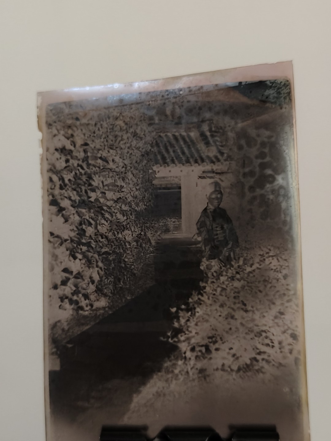 全场0元起拍 第50期 咸鱼国勋章拍卖专场 4月26日（周三）下午6：00开始 日本老底片一组 6张