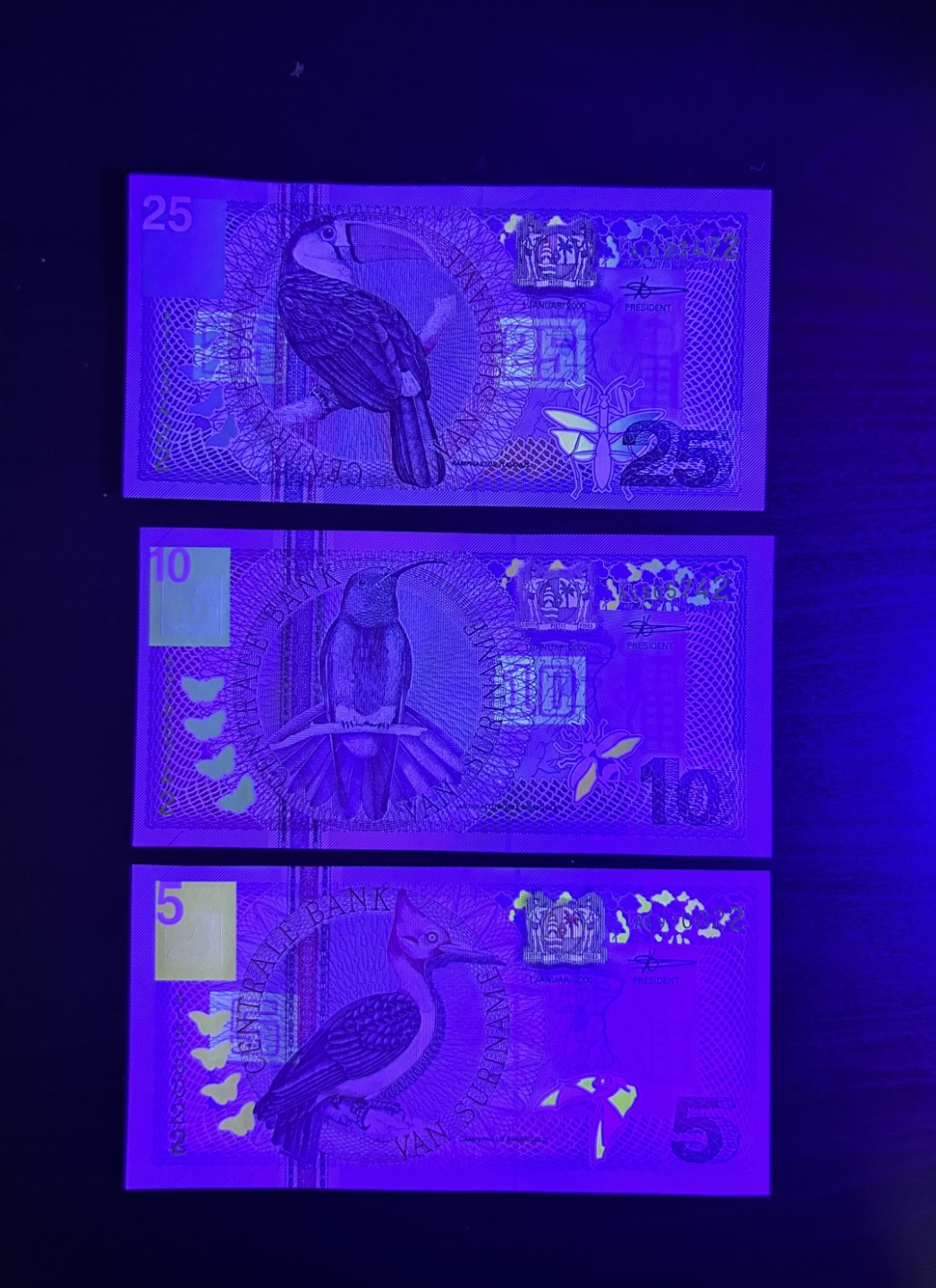 【丑猫0429】今晚7点，快拍 苏里南unc尾2