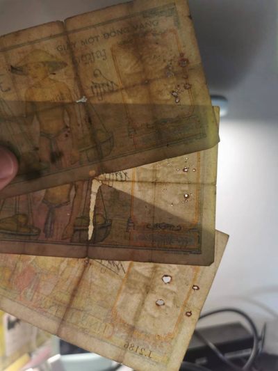 238.【鲸贝乐淘★两拍包邮】三字经·第“亲师友，习礼仪”号拍卖 【越南🇻🇳】东方汇理银行1元3张，流通品相如图