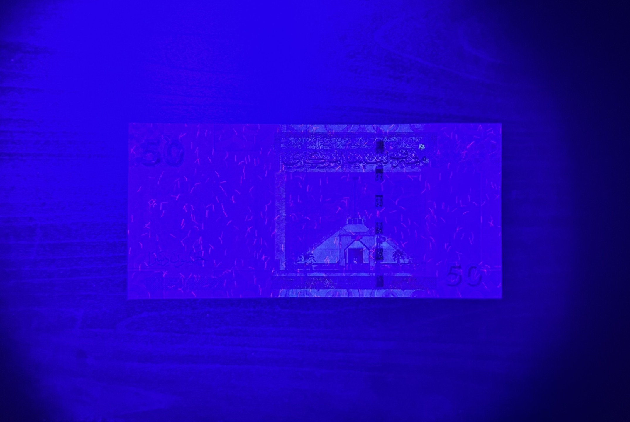 【丑猫0429】今晚7点，快拍 卡扎菲unc808889