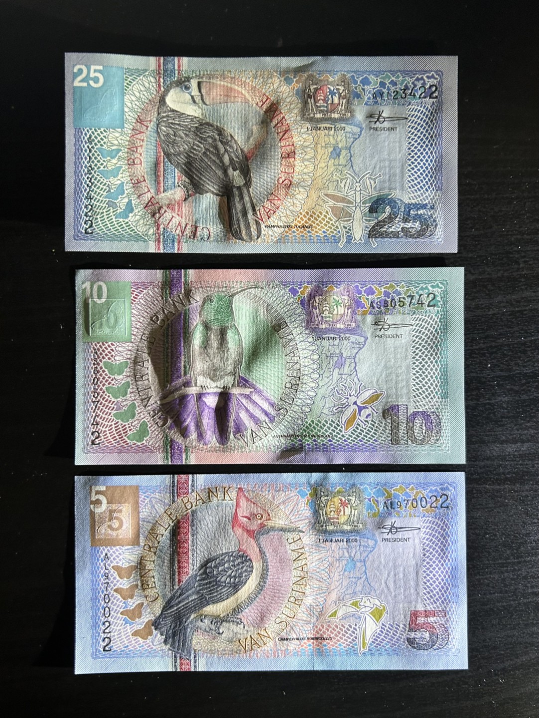 【丑猫0429】今晚7点，快拍 苏里南unc尾2