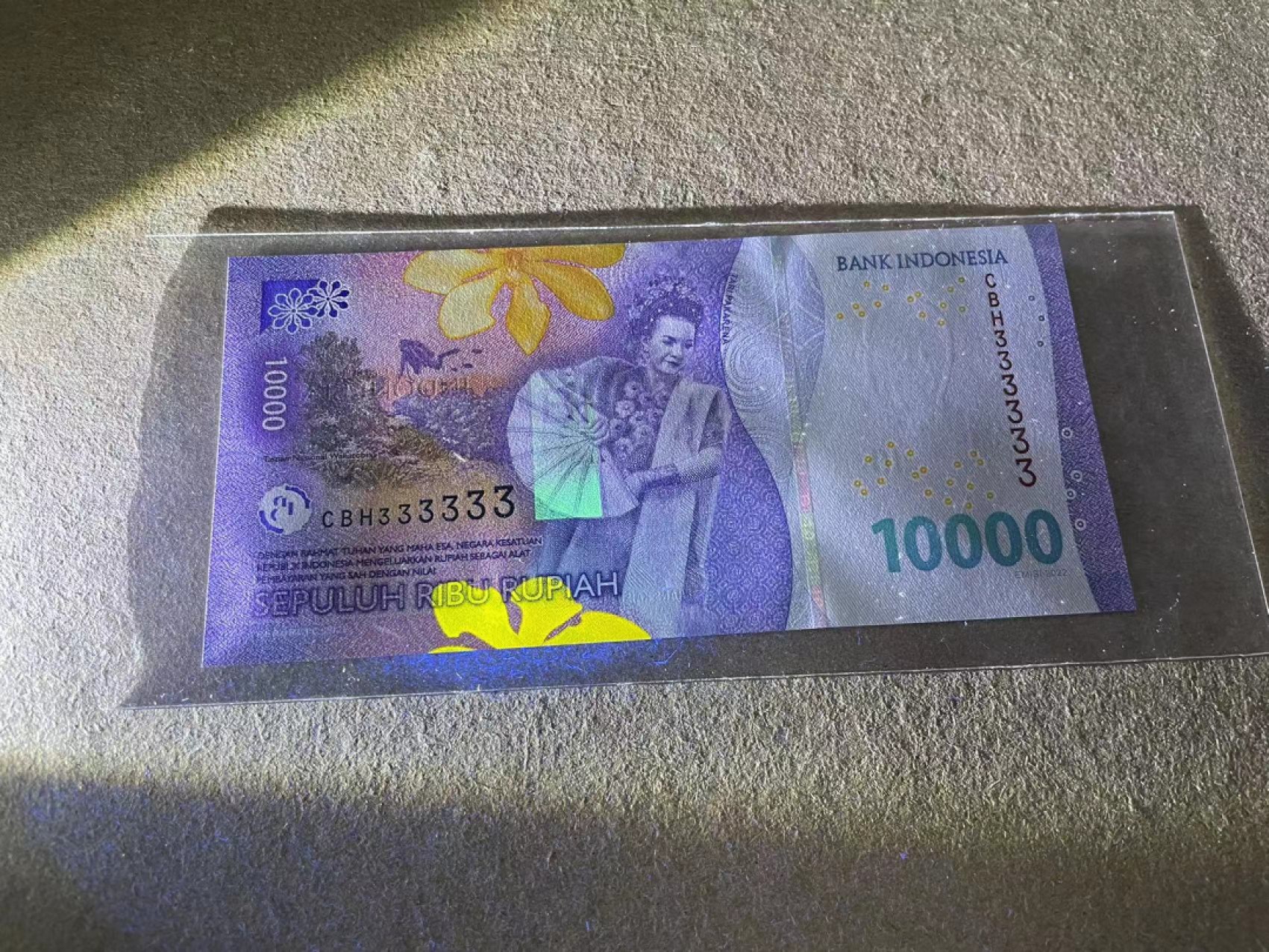 【Blue Auction】✨世界纸币精拍第317期——小精品场 【全同3】印尼 2022年10000卢比 全新UNC