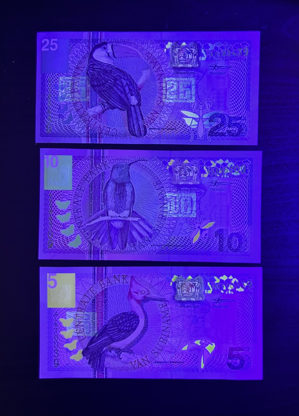 【丑猫0429】今晚7点，快拍 苏里南unc尾9