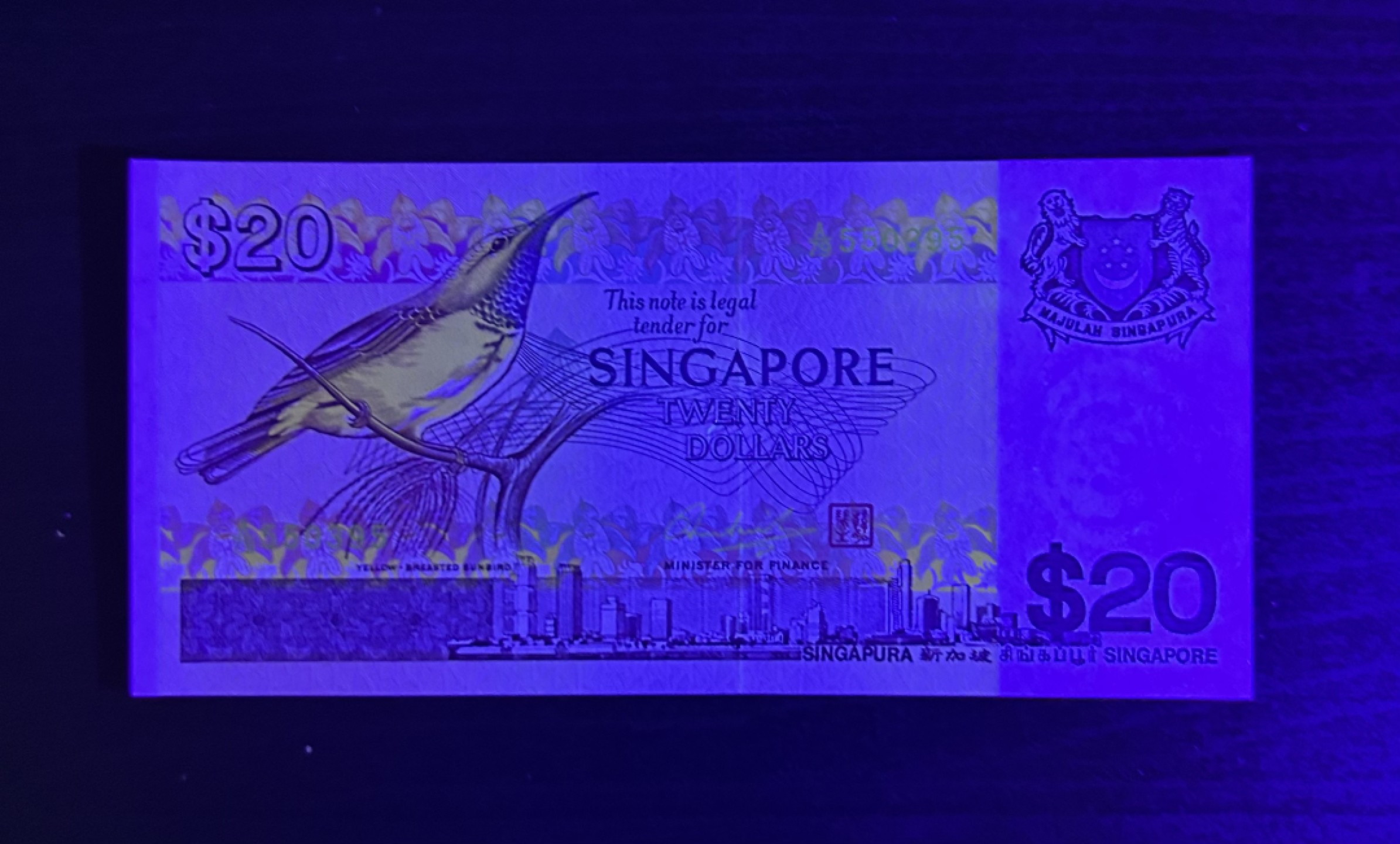 【丑猫0429】今晚7点，快拍 新加坡鸟20unc(无47)