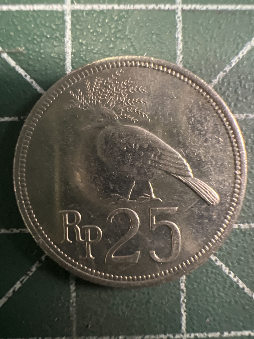 泡泡堂第293期  世界硬币 （无押金，捡漏，全场20包邮，偏远地区除外，接收代拍业务） 印度尼西亚25分