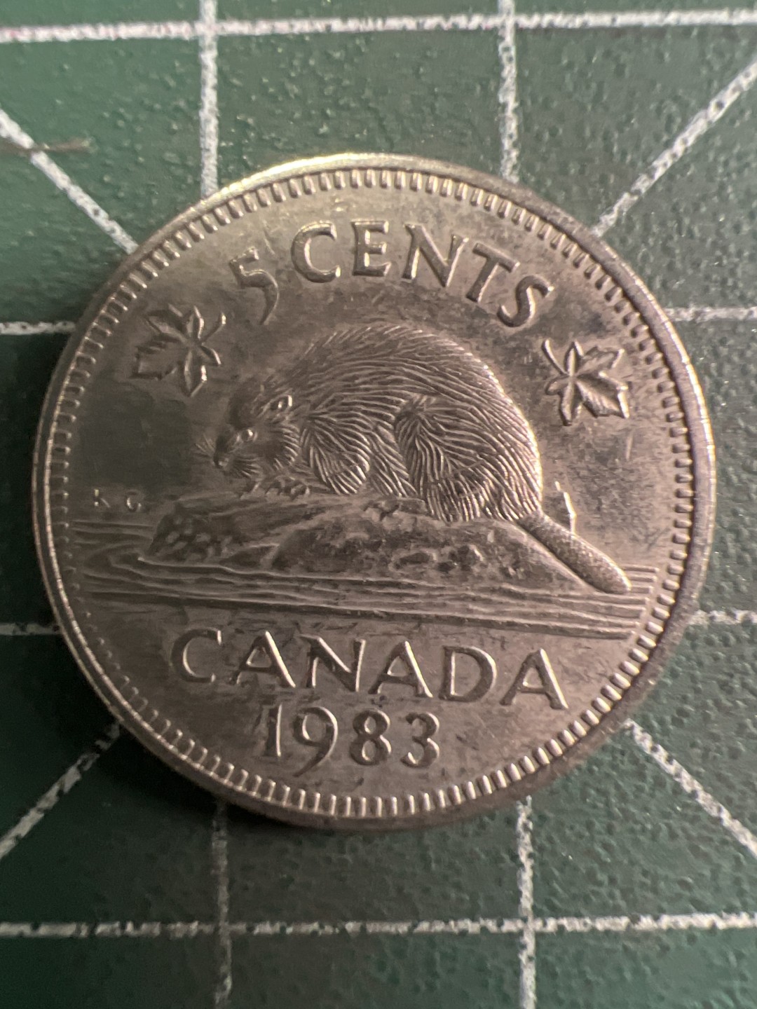 泡泡堂第295期  世界硬币 （无押金，捡漏，全场20包邮，偏远地区除外，接收代拍业务） 加拿大五分