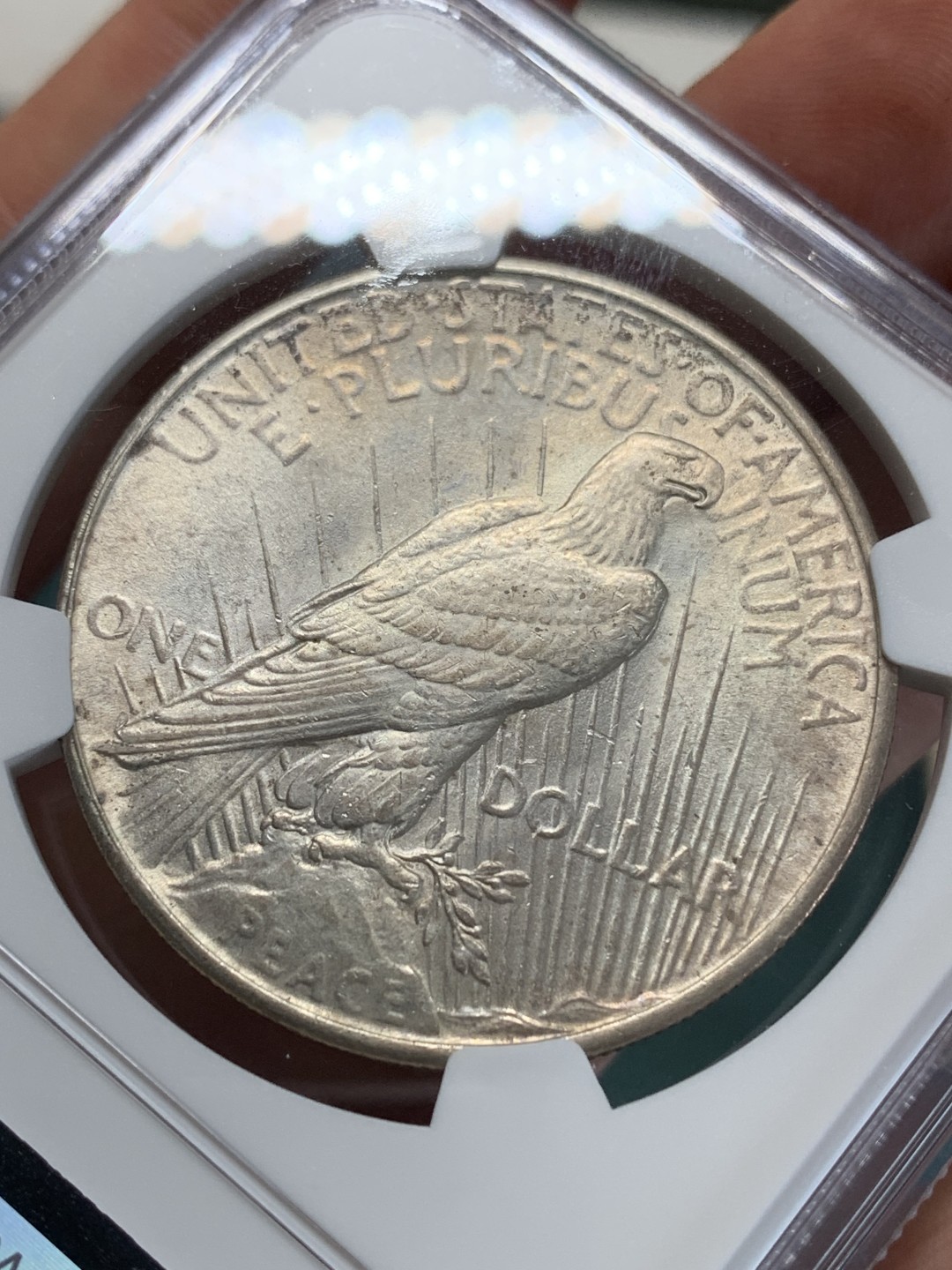 《竞宝斋》第159场-周日，周一 2场 (全场包邮) NGC-MS62 1925美国和平1美元大银币