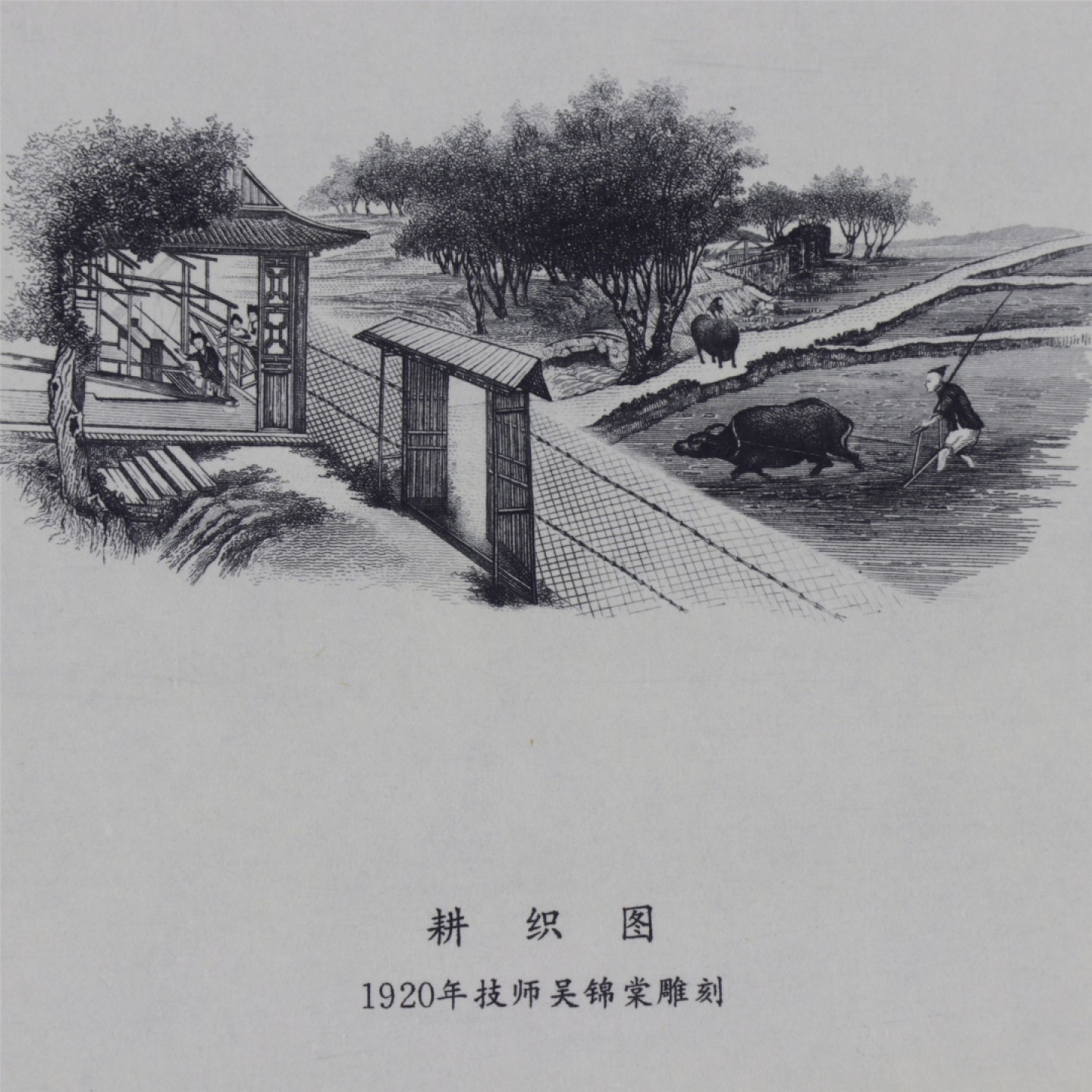 【亘邦集藏】第157期拍卖 1920年耕织图技师吴锦堂雕刻板印样 ACG 66EPQ 19991436
