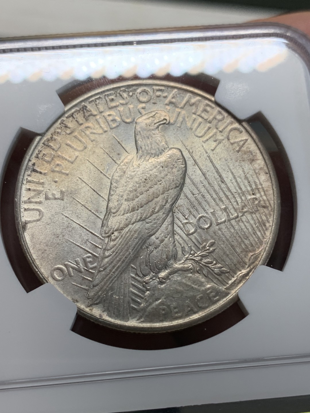 《竞宝斋》第159场-周日，周一 2场 (全场包邮) NGC-MS62 1925美国和平1美元大银币