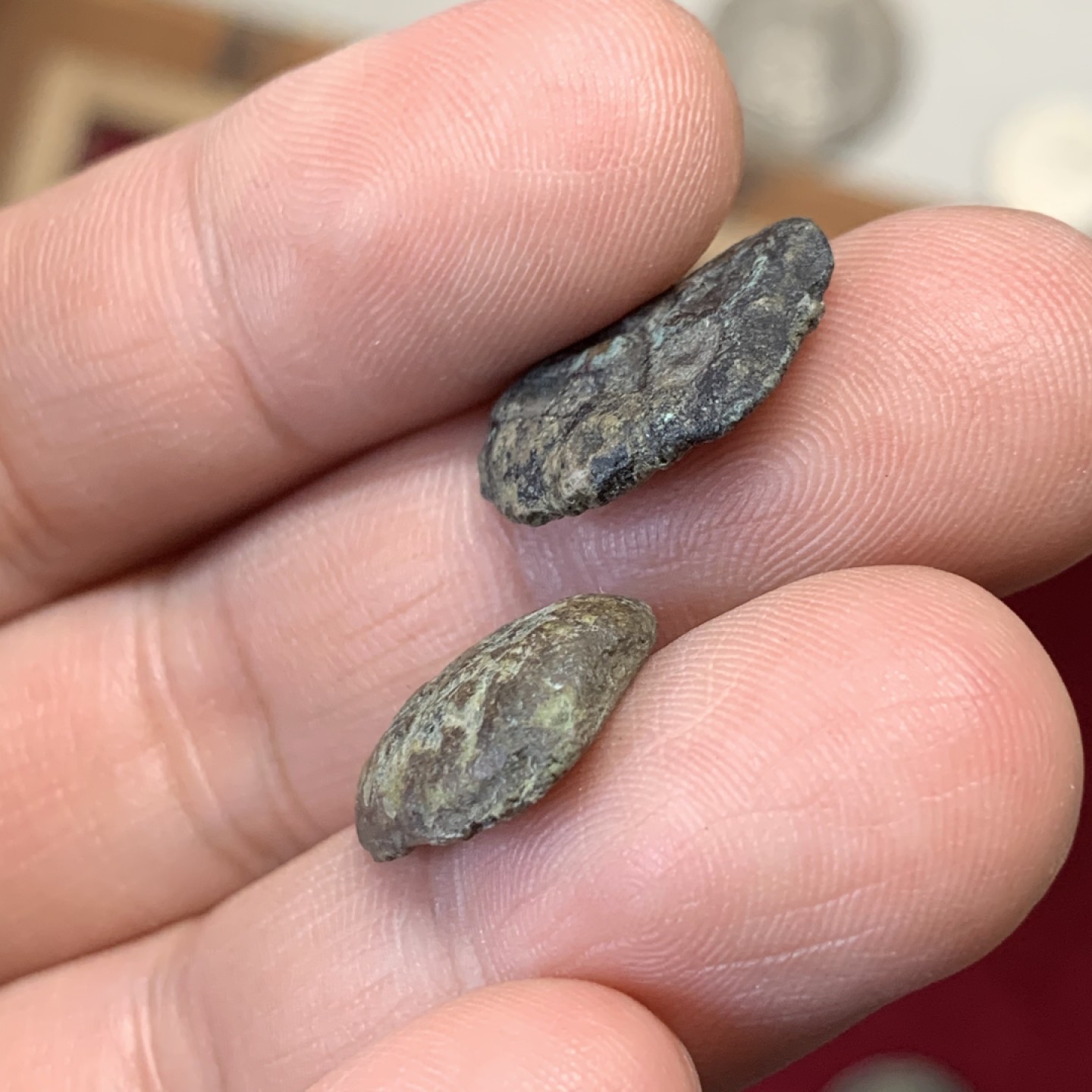 《竞宝斋》第159场-周日，周一 2场 (全场包邮) 战国 楚 鬼脸钱厚重大样版和早期阔字凹背版2枚，皆不多见