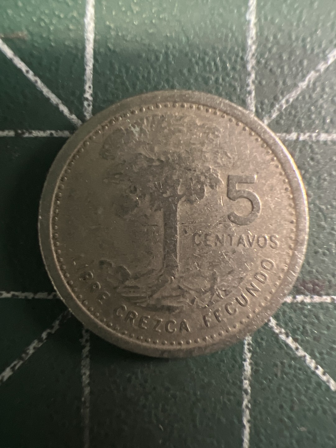 泡泡堂第294期  世界硬币 （无押金，捡漏，全场20包邮，偏远地区除外，接收代拍业务） 危地马拉五分