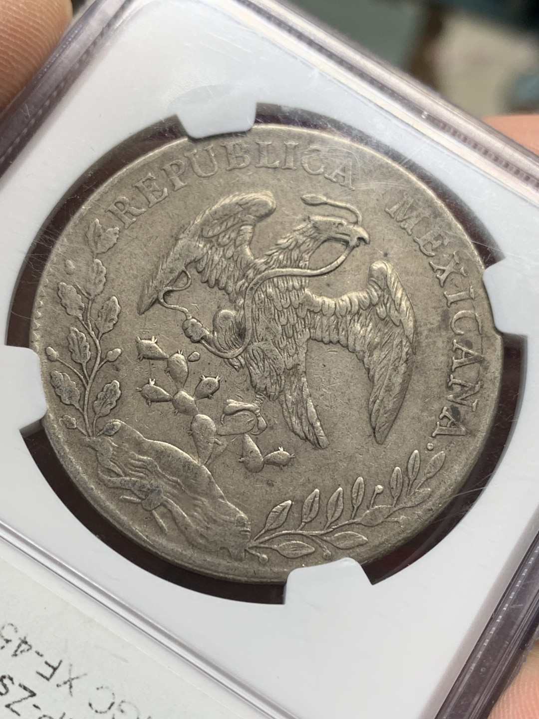 《竞宝斋》第159场-周日，周一 2场 (全场包邮) NGC-XF45 墨西哥 1891年 花边鹰洋 状态不错