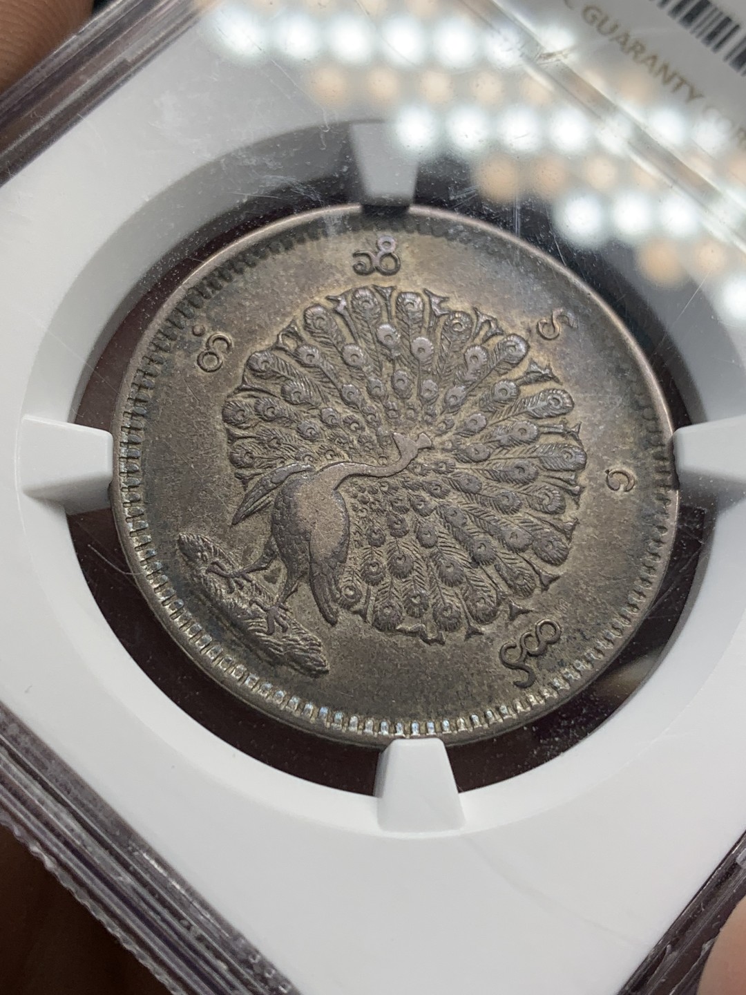 《竞宝斋》第159场-周日，周一 2场 (全场包邮) NGC-XF 缅甸 1852年 1 Kyat 贡榜王朝经典孔雀图案，包浆均一，羽毛细节完善