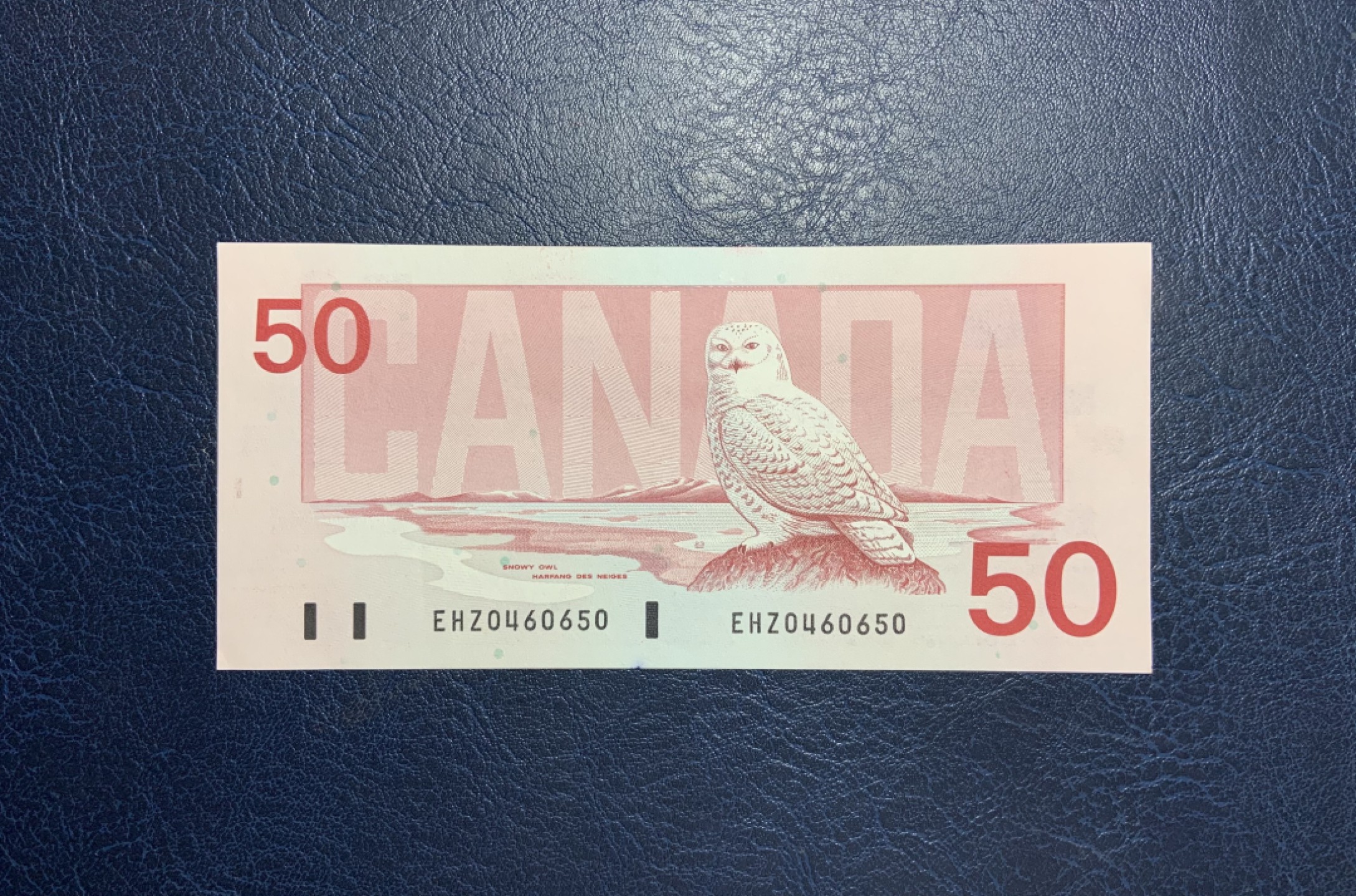 收藏联盟Quantum Auction 第254期拍卖  加拿大1988年50元 品相UNC
