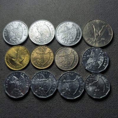 第五十五期 五月第一拍 好品散币 - 5.1.1智利