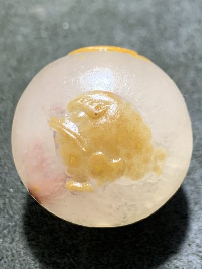 精美冰飘亚光战国红玛瑙俏色巧雕三足招财金蟾圆珠一个， - 精美冰飘亚光战国红玛瑙俏色巧雕三足招财金蟾圆珠一个，