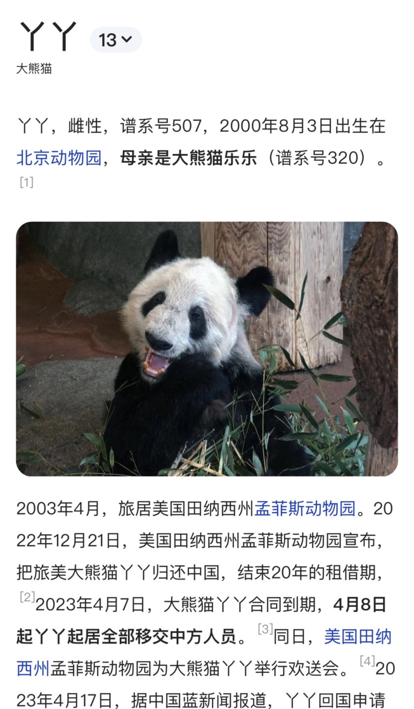 零元拍：丫丫终于回家啦，特别奉献歪歪老师为迎接丫丫回家创作亲笔签名绘画《欢迎丫丫回家》，拍中还赠送中国大熊猫保护研究中心指定文创：20天龄熊猫幼崽 毛绒公仔一只哦，全新无拆。