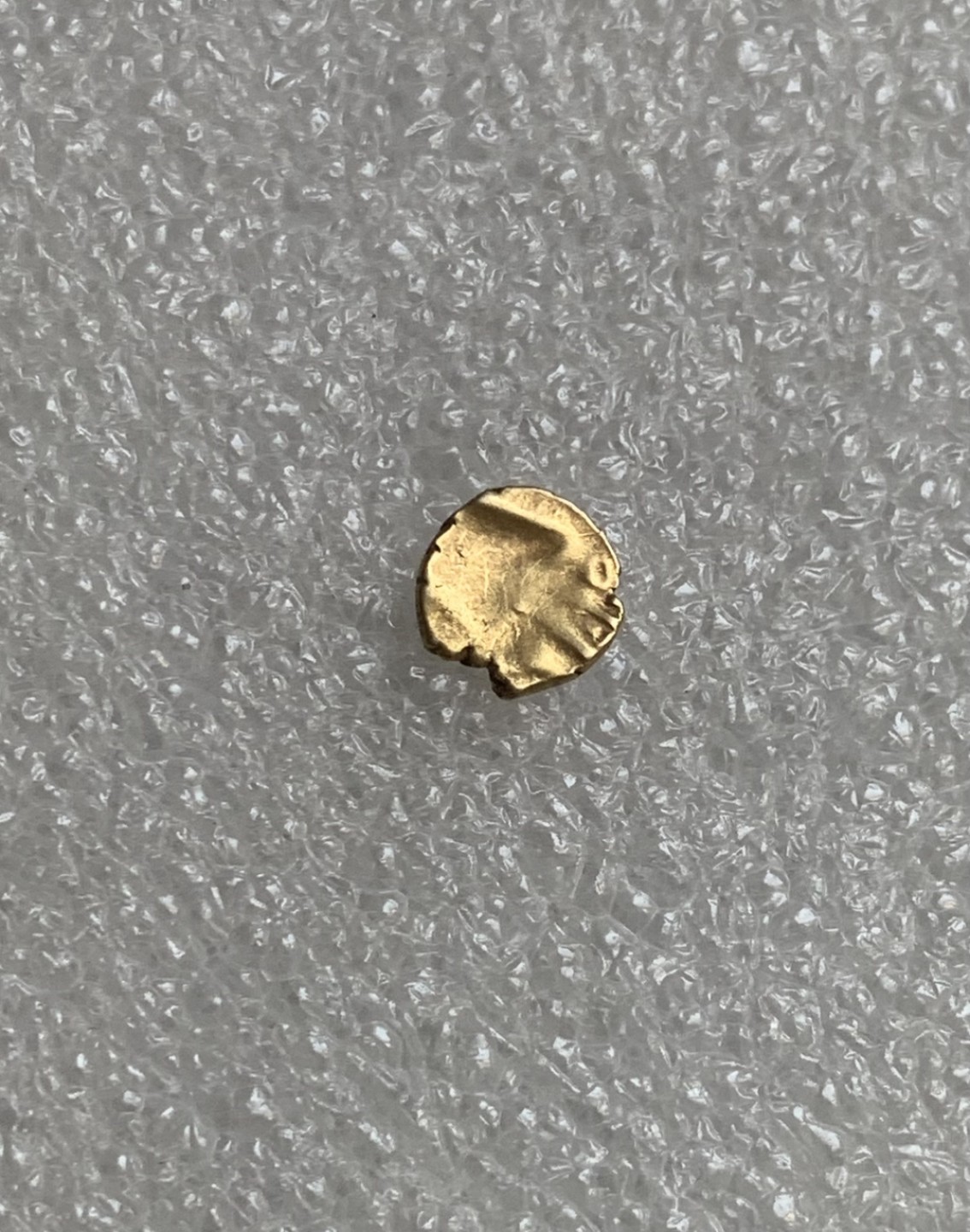 瓶子🏺第89期拍卖会 古印度柯钦邦狮子野猪法兰金币 0.38克