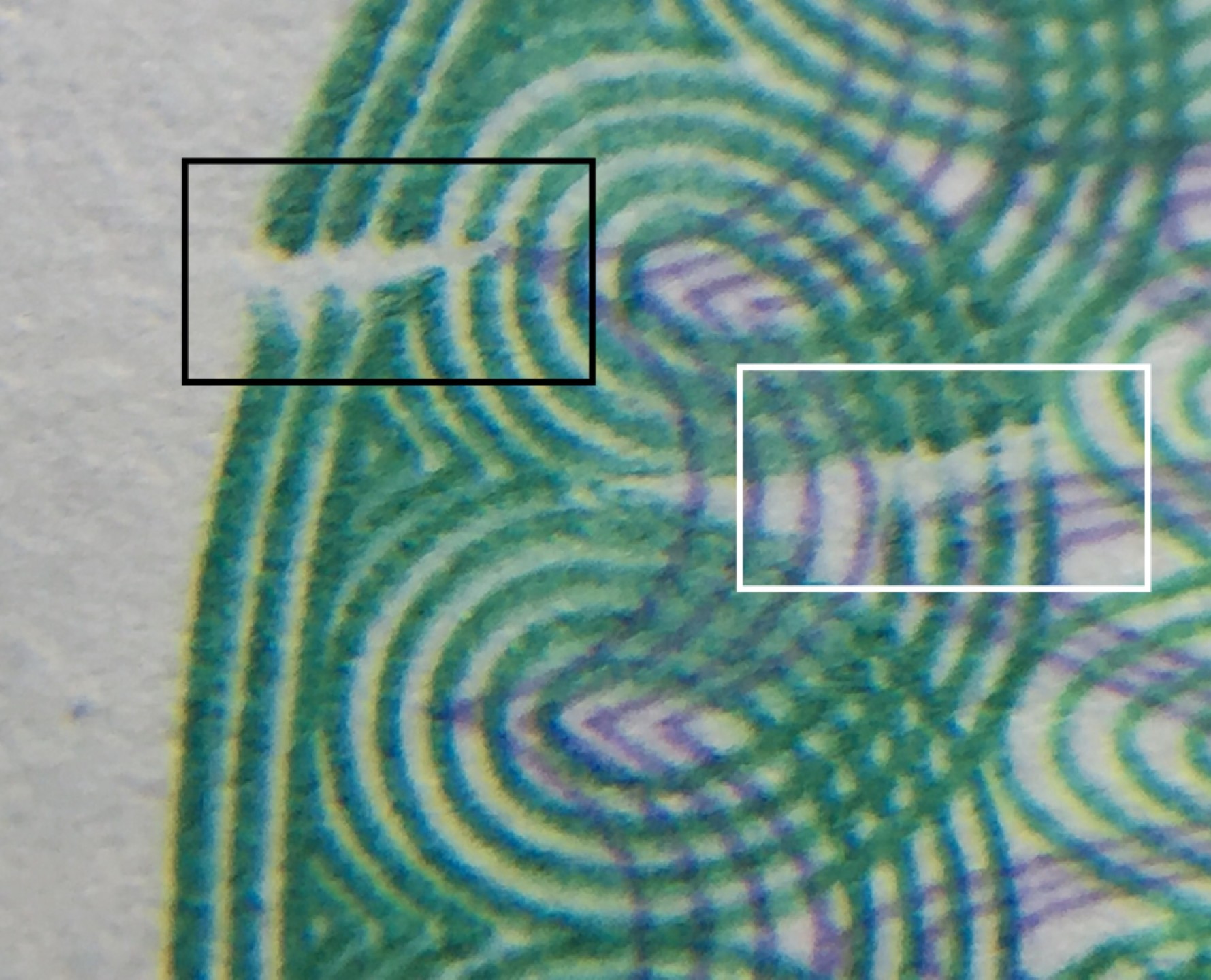 8002I冠大青龙标十