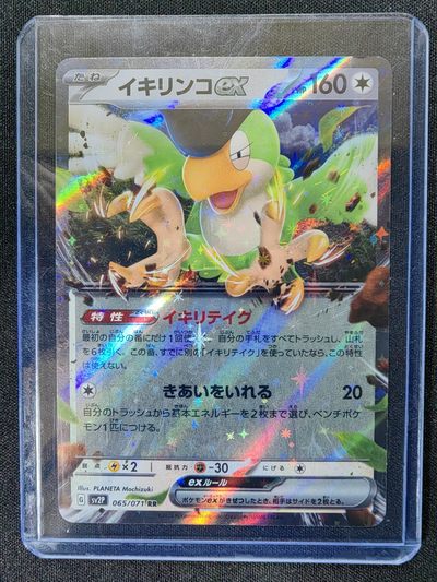 宝可梦集换式卡牌收藏卡 - 怒鹦哥ex（附送收藏胶套）