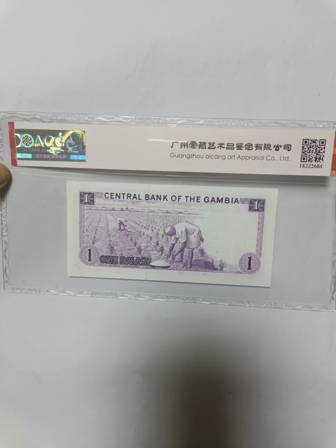 【20230428】非全新纸币第十七场 冈比亚评级币