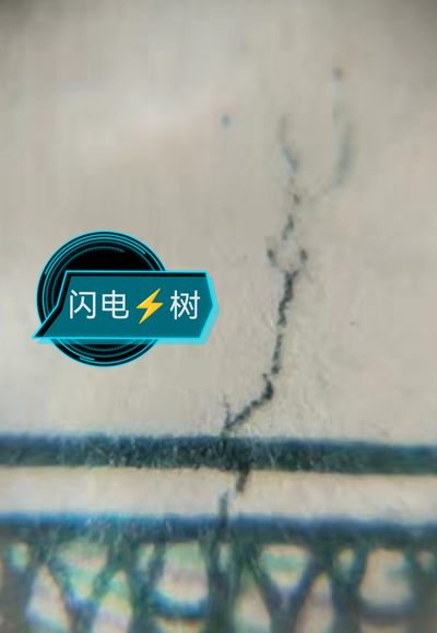 8002IR闪电树加多重题材标十 - 8002IR闪电树加多重题材标十