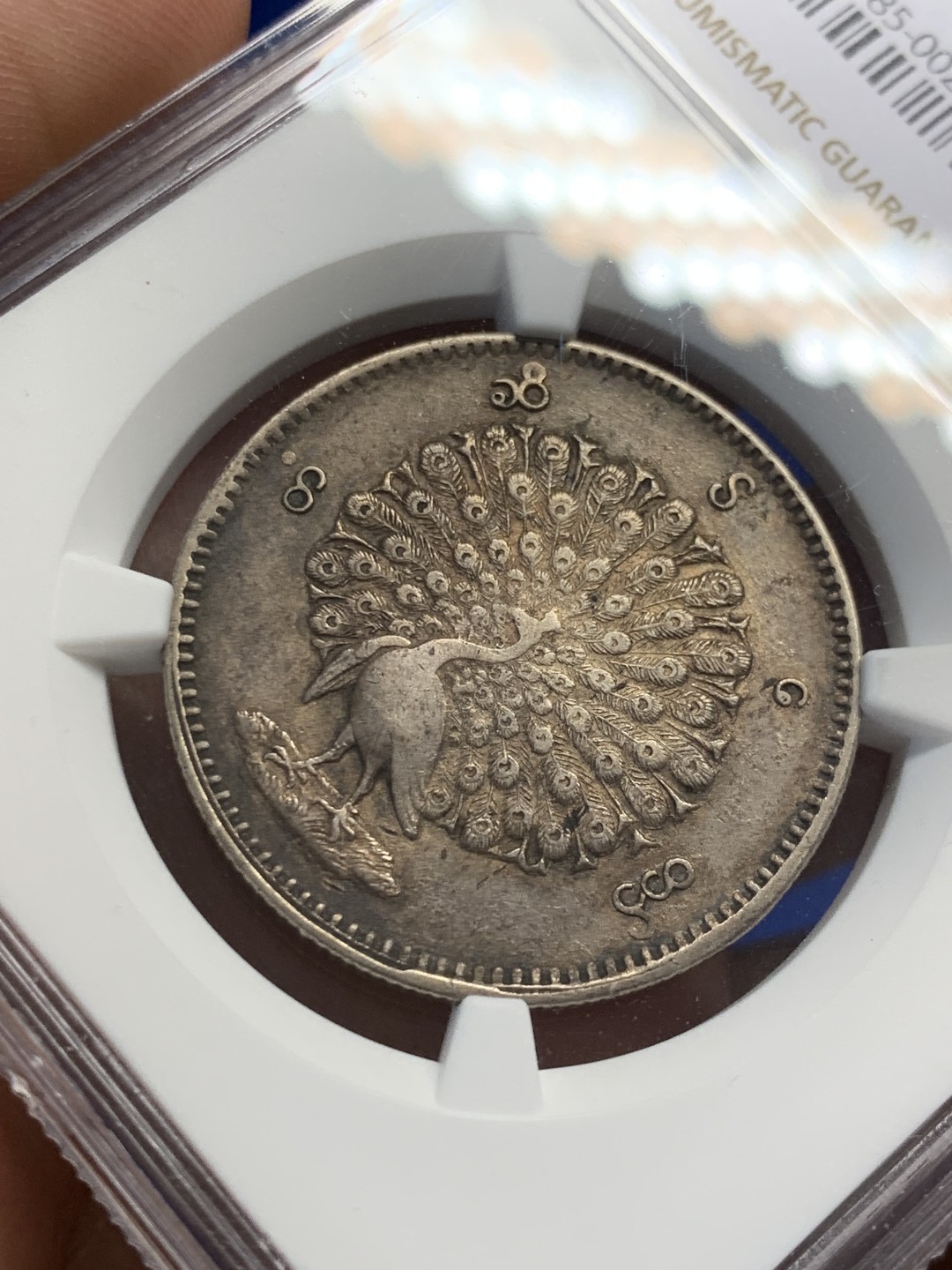 欢迎参加《竞宝斋》五一特拍-第161场-周日，周一 2场 NGC AU58 1852年缅甸孔雀kyat银币 原色黑彩 羽毛清晰完整 大涨品种