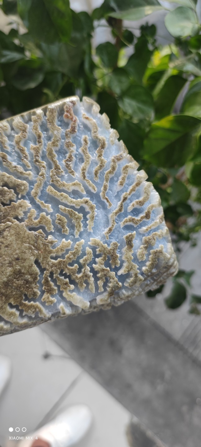 新货（极品）老敞口后江…开窗冰紫手镯 大牌子料…料子种老…肉细…打灯冰透…出货品质高
