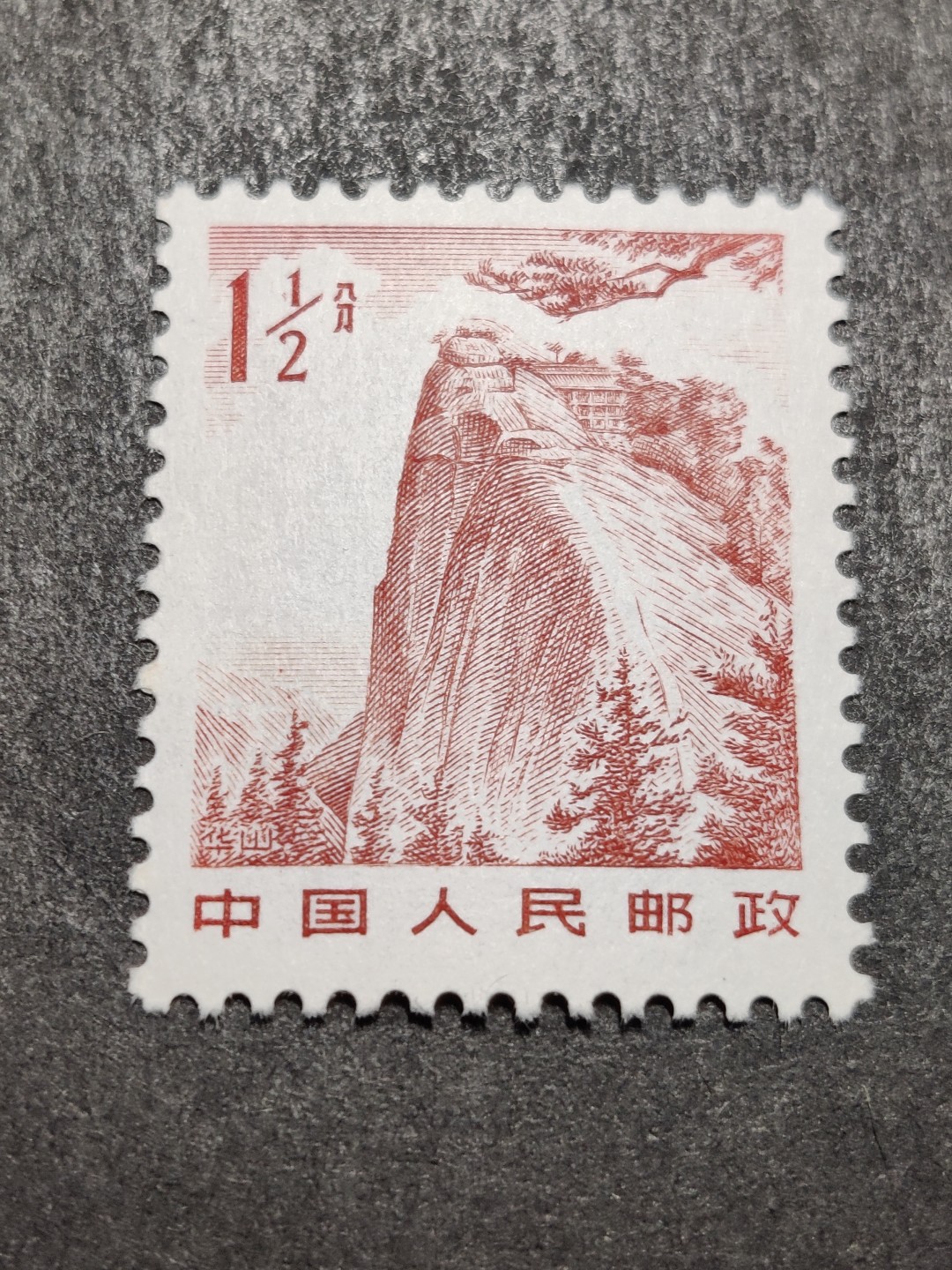 洪涛臻品批发群  精选邮票限时拍卖第二百五十期  1981年雕刻版祖国风光邮票: 1.5分华山. 原胶润白完美过灯！新全品！ 
