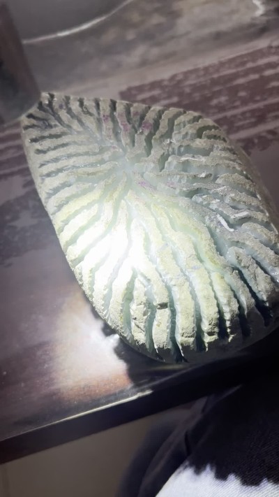 新货🎉🎉……老场口:后江大面积开窗…可博贵妃手镯 大牌子料…开窗处已有牌子挂件位…有胶感…起荧光…稳稳取件…出货品质高，重量1254克，