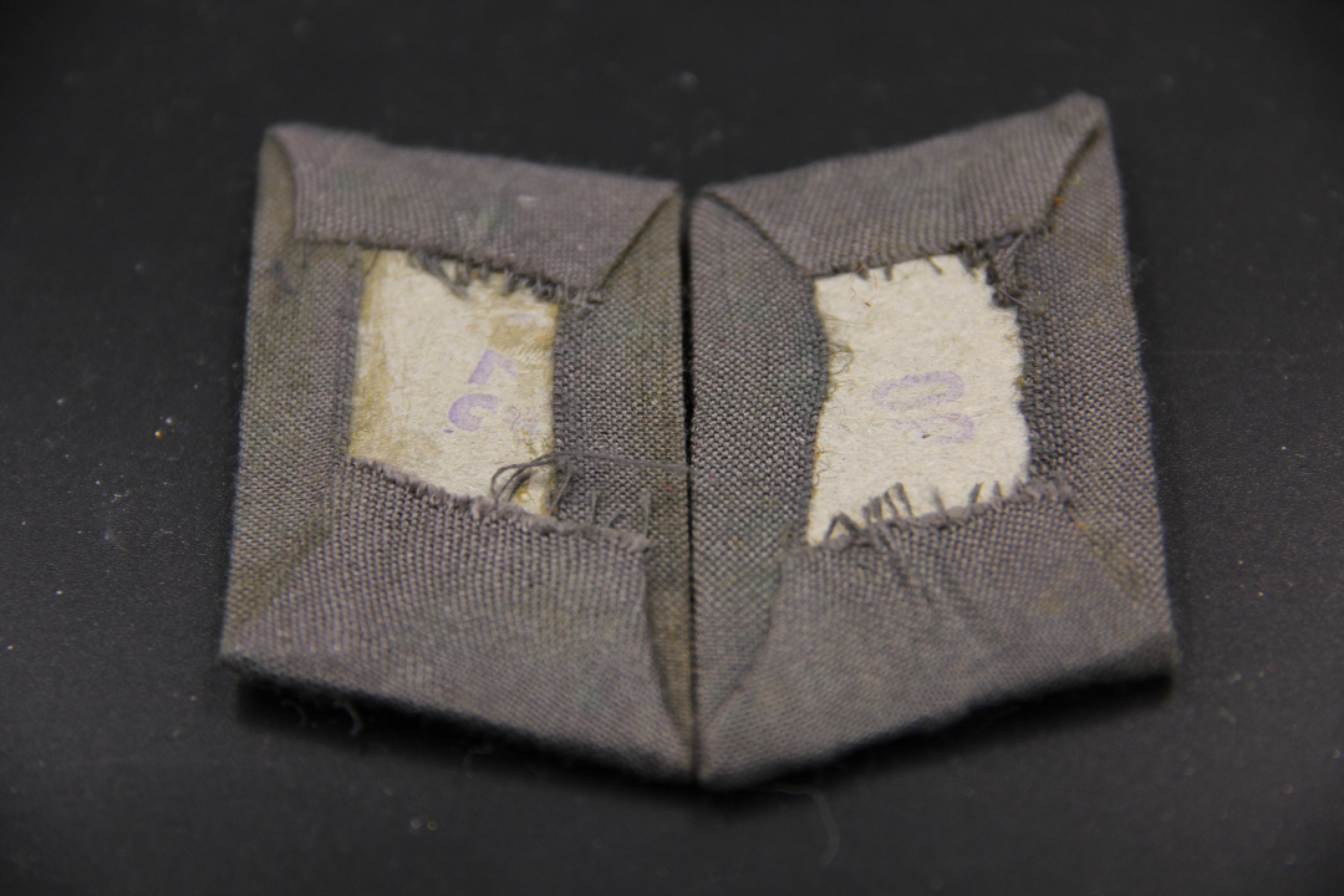 全场0起0押金！大陆勋赏俱乐部第二期拍卖 （请看详情）东德史塔西/民兵刺绣版领章