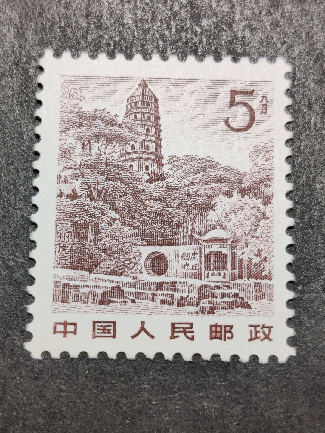 洪涛臻品批发群  精选邮票限时拍卖第二百五十期  1981年雕刻版祖国风光邮票: 5分苏州虎丘. 原胶润白完美过灯！新全品！ 