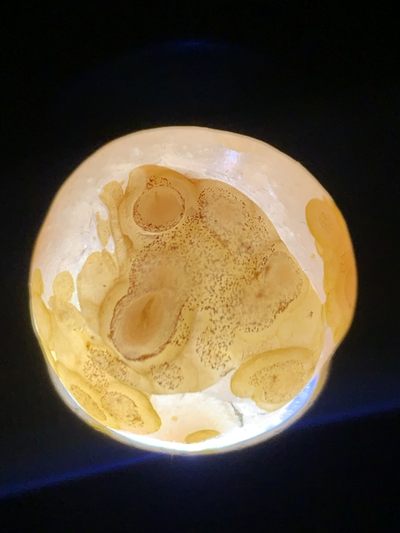 精美冰飘亚光战国红玛瑙俏色巧雕三足招财金蟾随形圆珠一个， 精美冰飘亚光战国红玛瑙俏色巧雕三足招财金蟾随形圆珠一个，