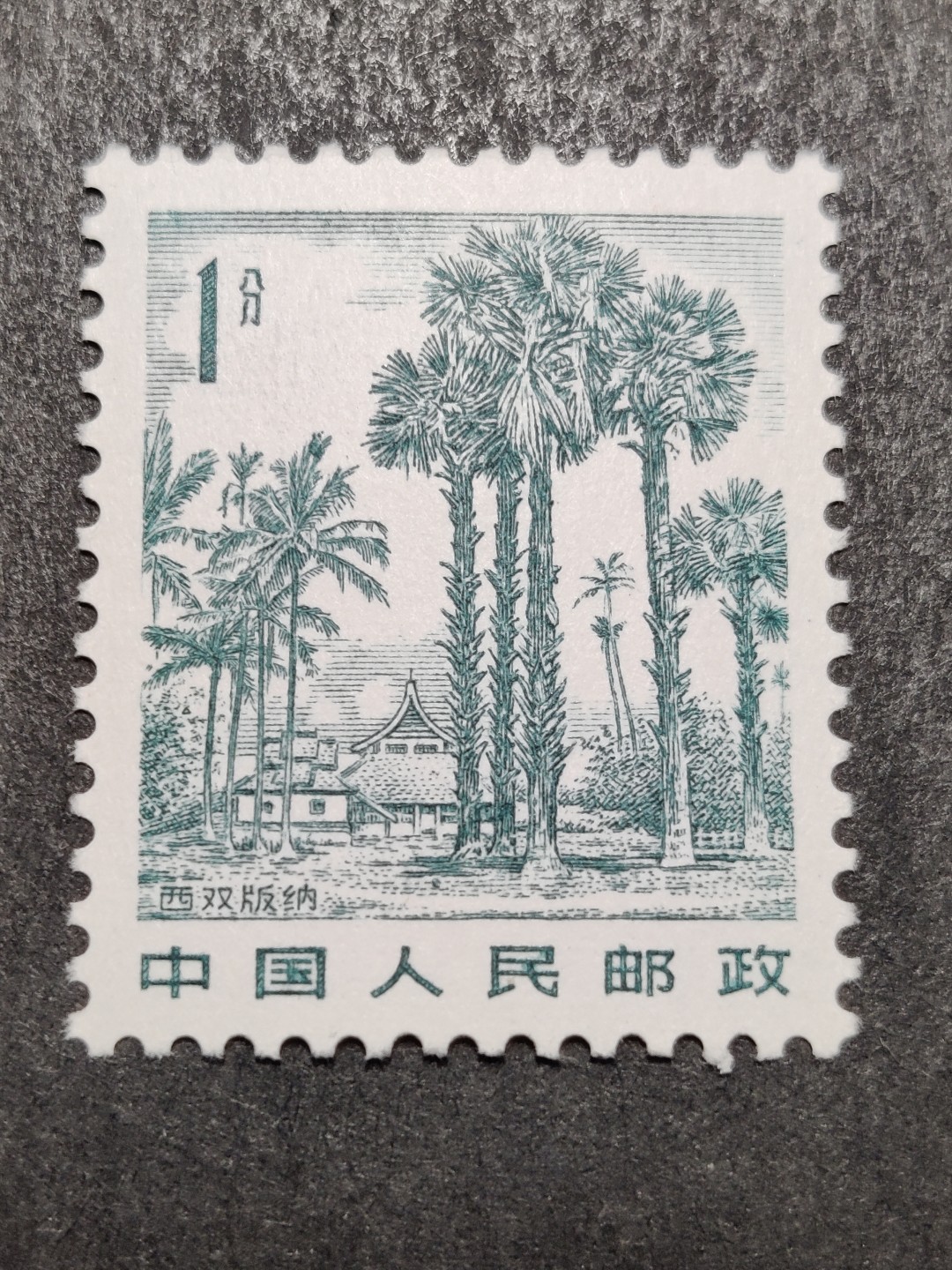 洪涛臻品批发群  精选邮票限时拍卖第二百五十期  1981年雕刻版祖国风光邮票: 1分西双版纳. 原胶润白完美过灯！新全品！ 