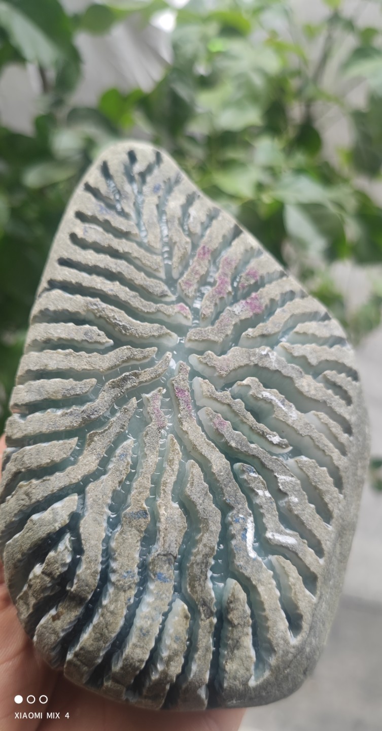 新货🎉🎉……老场口:后江大面积开窗…可博贵妃手镯 大牌子料…开窗处已有牌子挂件位…有胶感…起荧光…稳稳取件…出货品质高，重量1254克，
