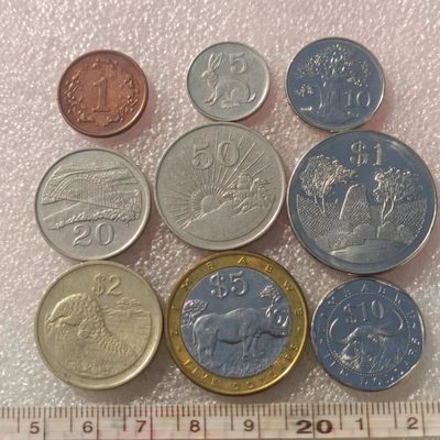 【淘币小摊】第一百零二拍  散币场 五一五连拍  满百包邮 - 津巴布韦9枚套